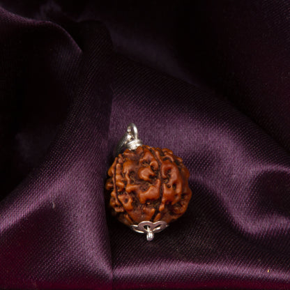 Five Mukhi Rudraksha with 925 Silver Pandant Unisex Both for Men & Women