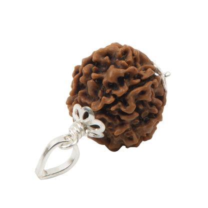 Six Mukhi Rudraksha with 925 Silver Pandant Unisex Both for Men & Women