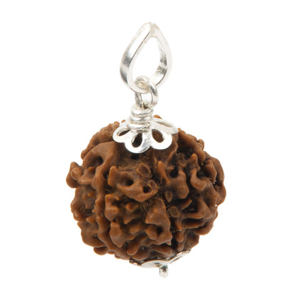 Six Mukhi Rudraksha with 925 Silver Pandant Unisex Both for Men & Women