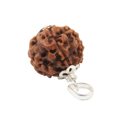 Five Mukhi Rudraksha with 925 Silver Pandant Unisex Both for Men & Women