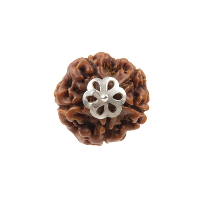 Five Mukhi Rudraksha with 925 Silver Pandant Unisex Both for Men & Women