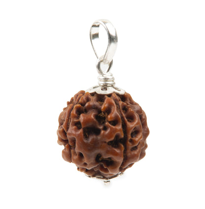 Five Mukhi Rudraksha with 925 Silver Pandant Unisex Both for Men & Women