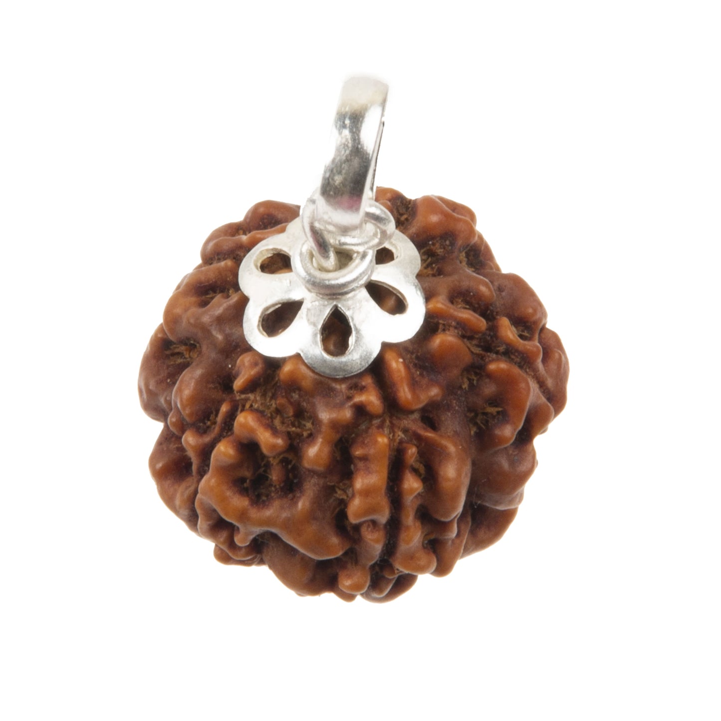 Five Mukhi Rudraksha with 925 Silver Pandant Unisex Both for Men & Women