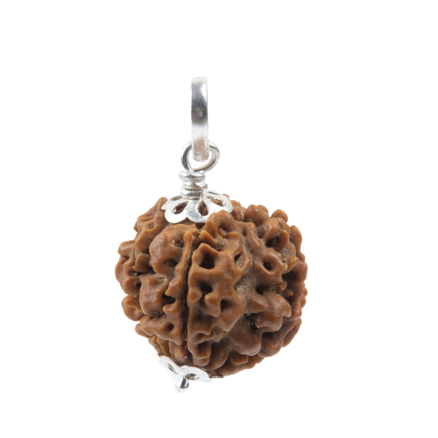 Four Mukhi Rudraksha with 925 Silver Pandant Unisex Both for Men & Women