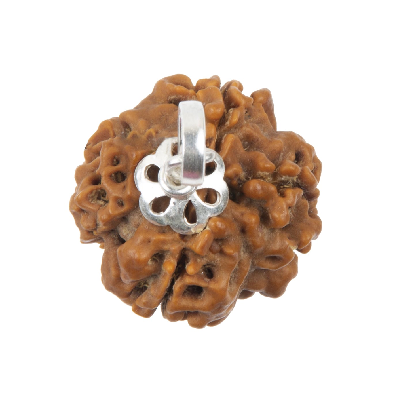 Four Mukhi Rudraksha with 925 Silver Pandant Unisex Both for Men & Women