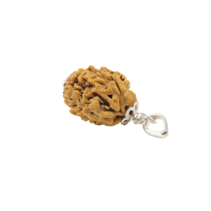 Three Mukhi Rudraksha with 925 Silver Pandant Unisex Both for Men & Women