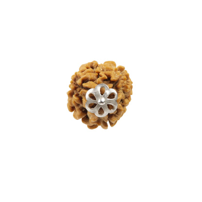 Three Mukhi Rudraksha with 925 Silver Pandant Unisex Both for Men & Women