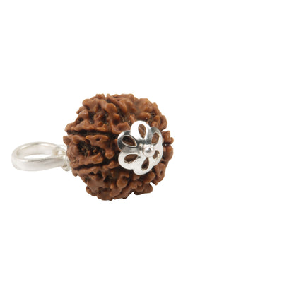 Seven Mukhi Rudraksha with 925 Silver Pandant Unisex Both for Men & Women