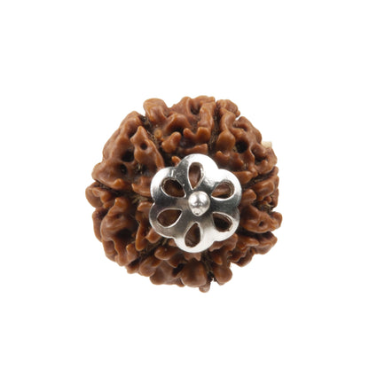 Seven Mukhi Rudraksha with 925 Silver Pandant Unisex Both for Men & Women