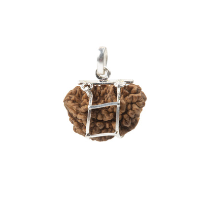 One Mukhi Rudraksha with 925 Silver Pandant | Natural Certified | Unisex Both for Men & Women