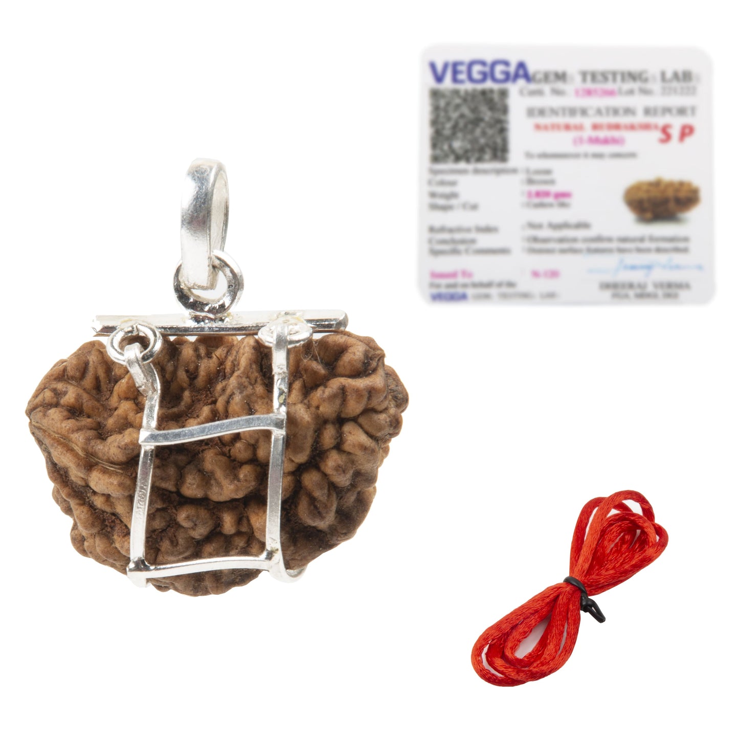 One Mukhi Rudraksha with 925 Silver Pandant | Natural Certified | Unisex Both for Men & Women