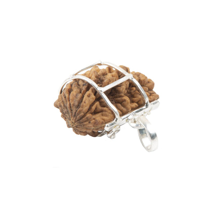 One Mukhi Rudraksha with 925 Silver Pandant | Natural Certified | Unisex Both for Men & Women