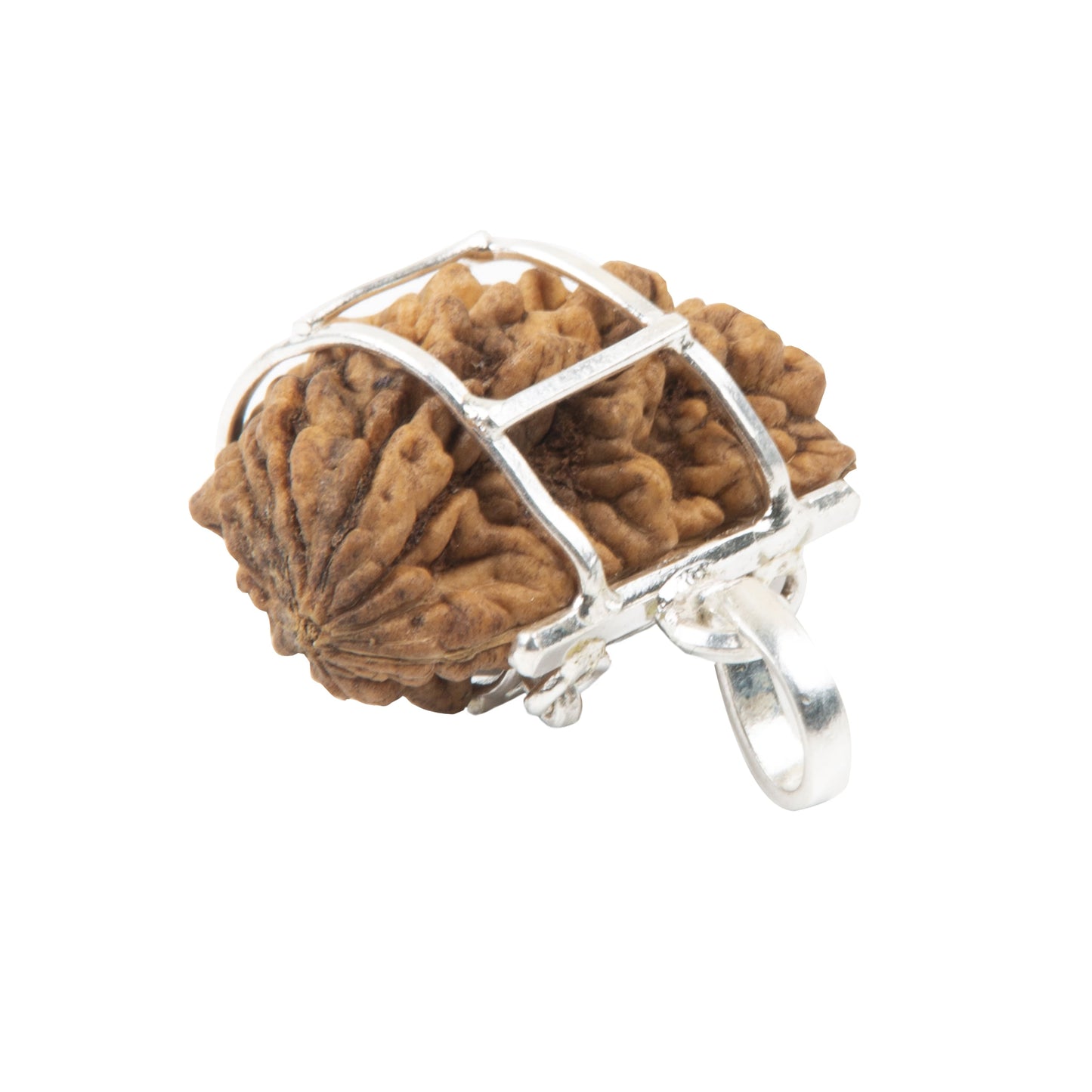 One Mukhi Rudraksha with 925 Silver Pandant | Natural Certified | Unisex Both for Men & Women