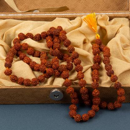 Five Mukhi Rudraksha Rosary