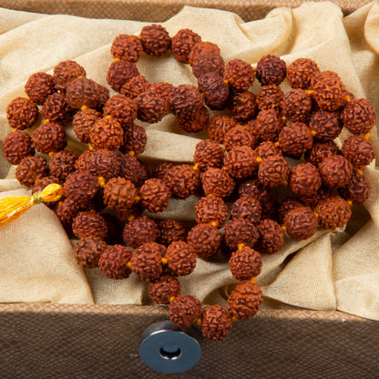 Five Mukhi Rudraksha Rosary