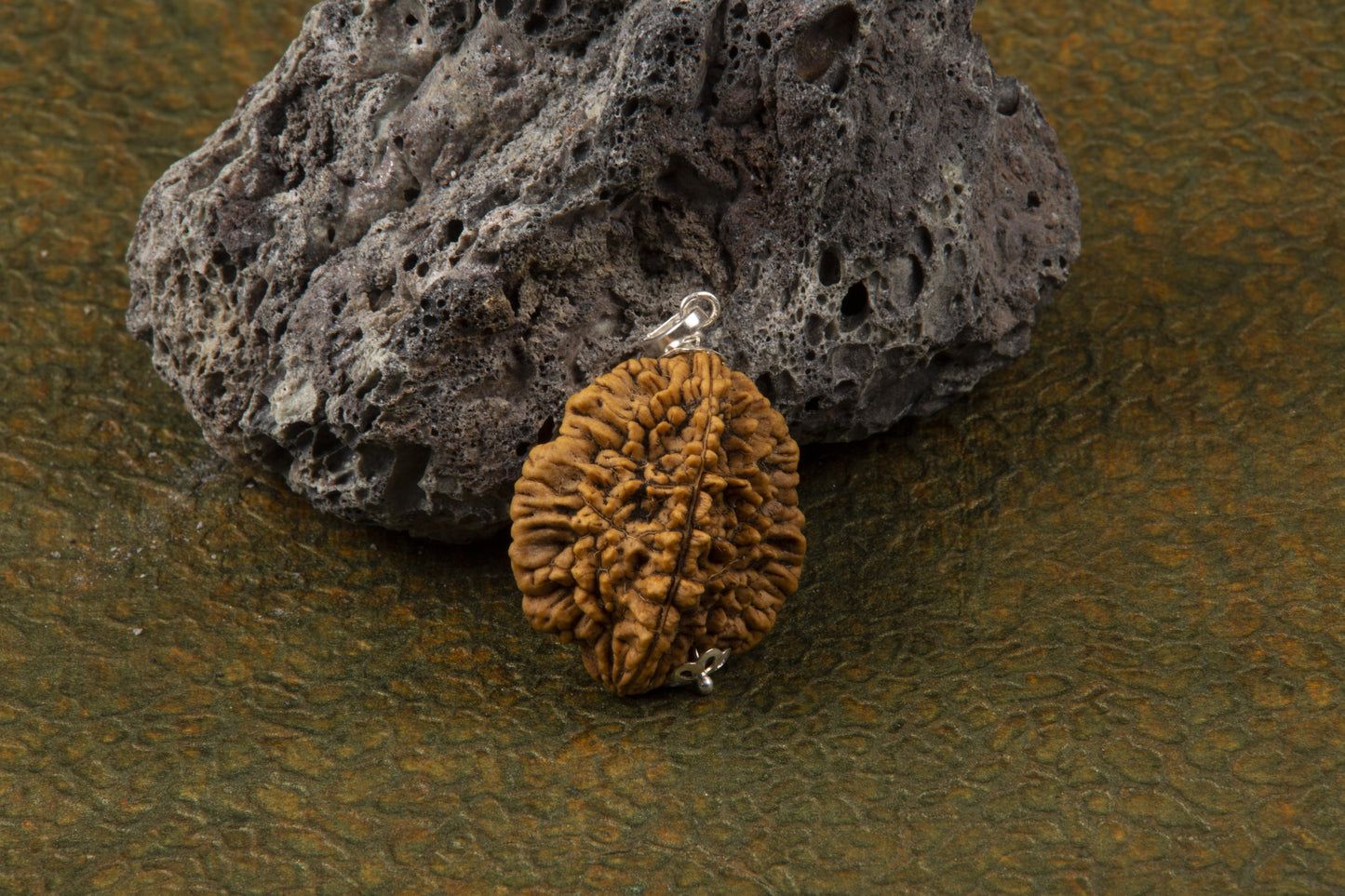 Two Mukhi Rudraksha with 925 Silver Pendant Unisex Both for Men & Women