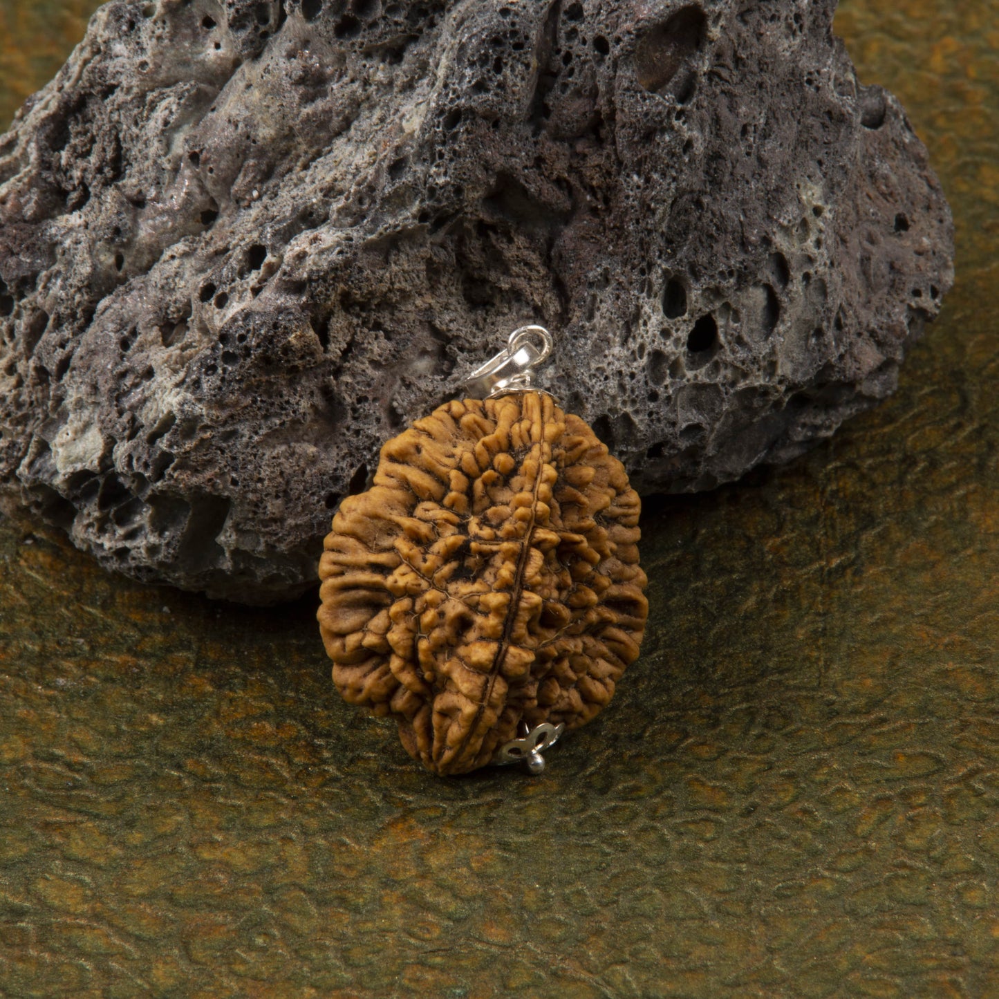 Two Mukhi Rudraksha with 925 Silver Pendant Unisex Both for Men & Women