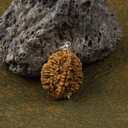 Two Mukhi Rudraksha with 925 Silver Pendant Unisex Both for Men & Women