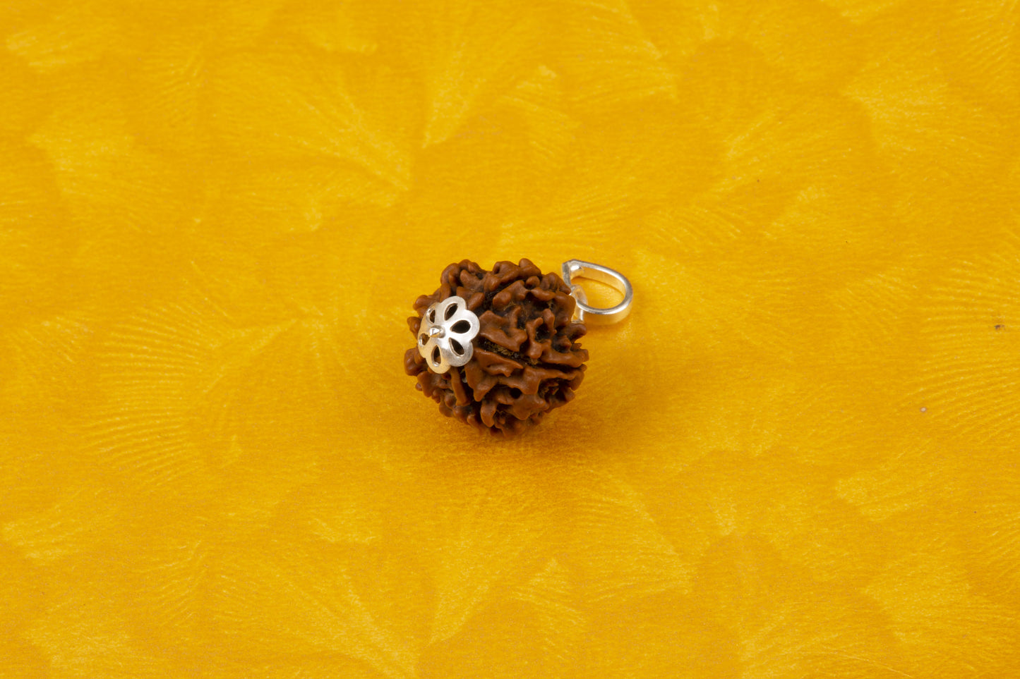 Six Mukhi Rudraksha with 925 Silver Pandant Unisex Both for Men & Women