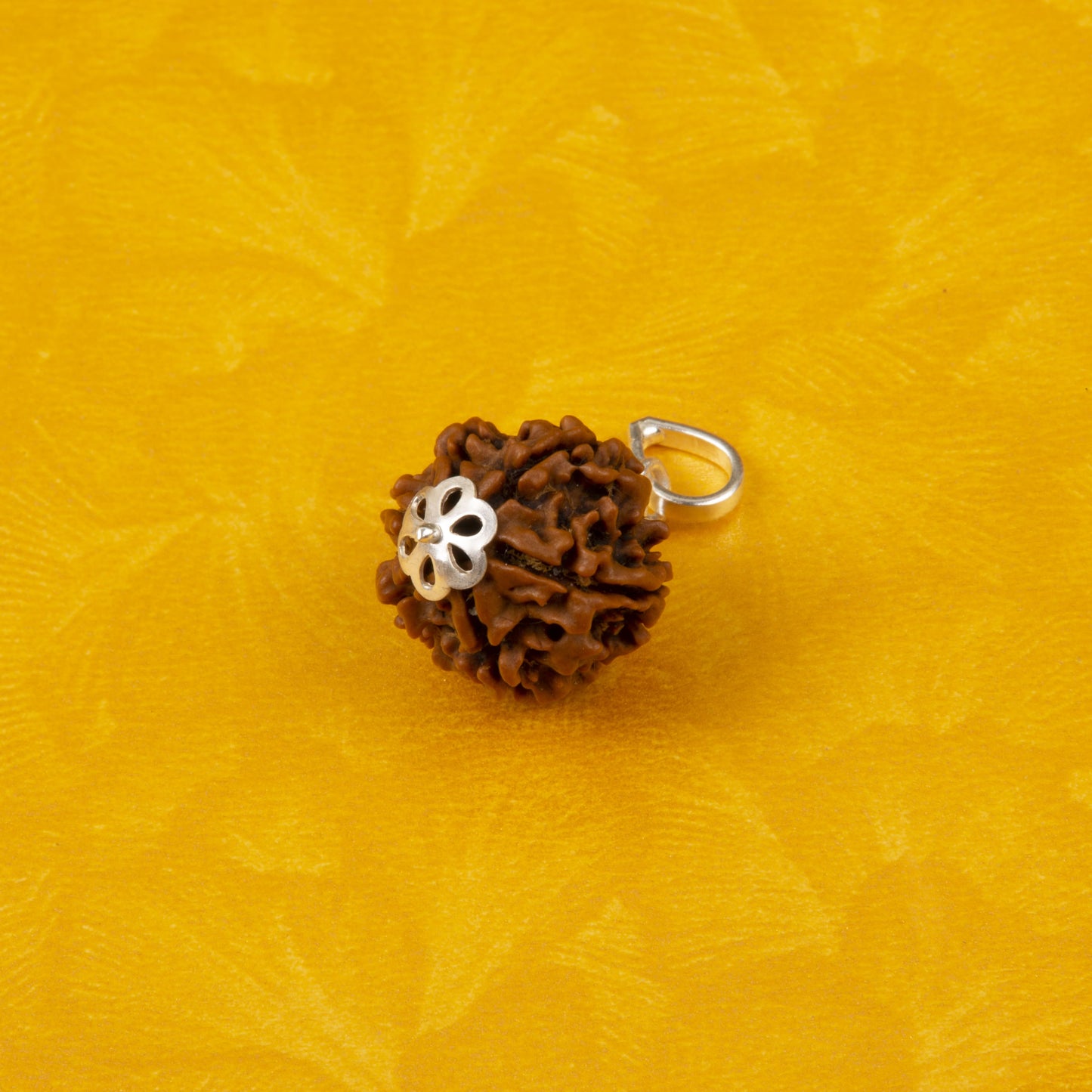 Six Mukhi Rudraksha with 925 Silver Pandant Unisex Both for Men & Women